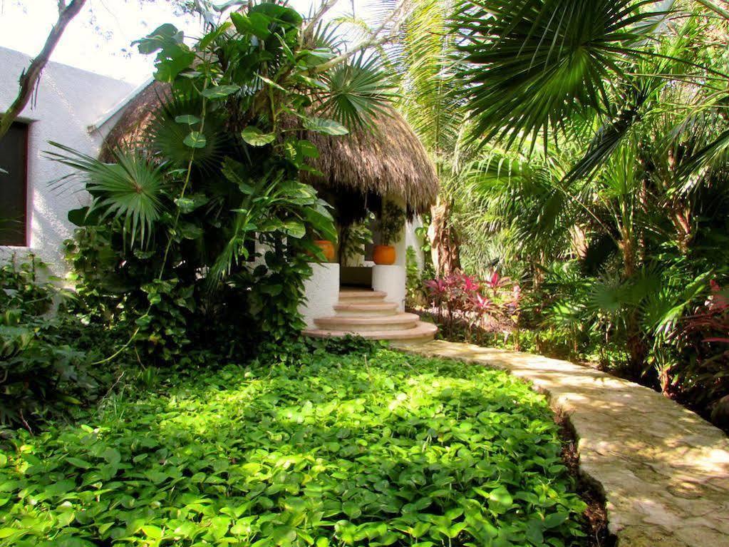 Hotel Amarte Playa del Carmen