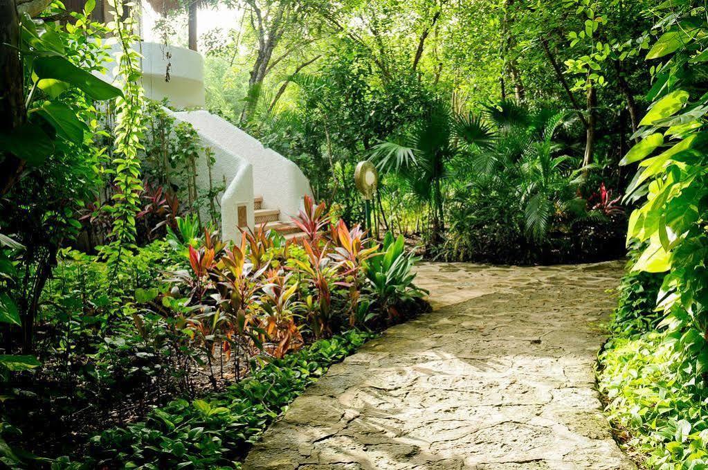 Hotel Amarte Playa del Carmen