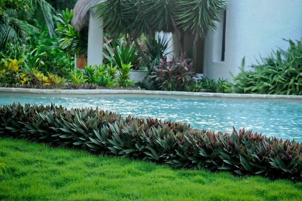 Amarte Hotel Playa del Carmen